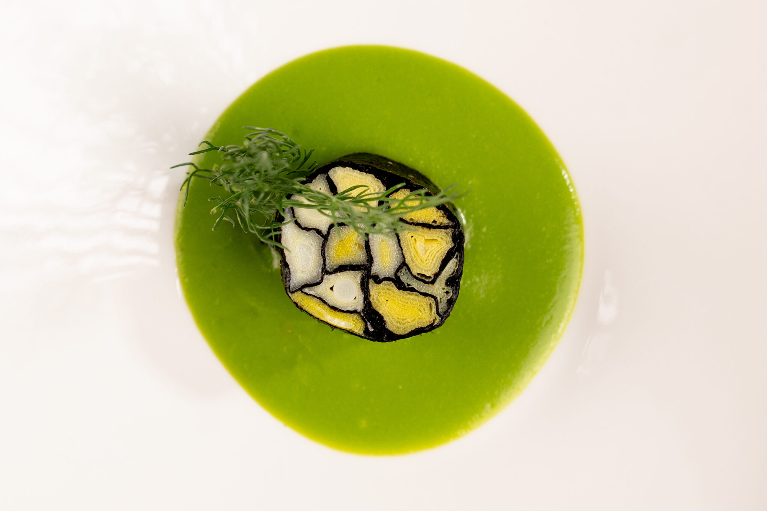 Mosaico di cipollotti e alga nori, ricetta vegana salata con sapidità naturale e umami, servita su crema di piselli liscia e setacciata, piatto sostenibile e zero sprechi.